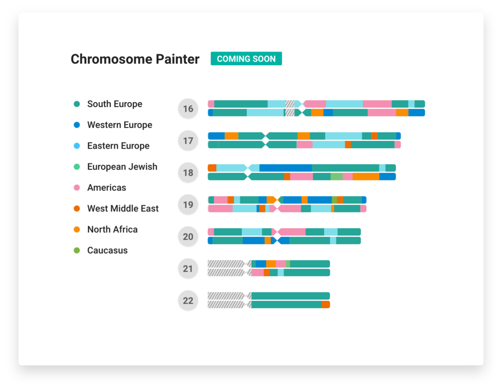 Updates To Matches & Chromosome Painter FamilyTreeDNA Blog