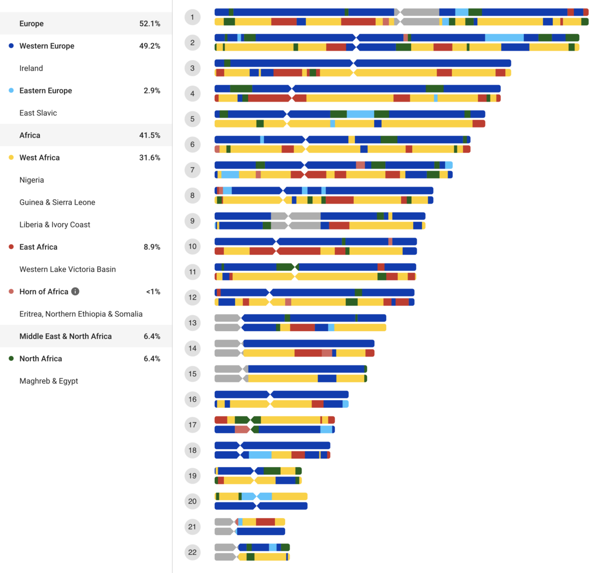 New Feature Family Finder Chromosome Painter FamilyTreeDNA Blog