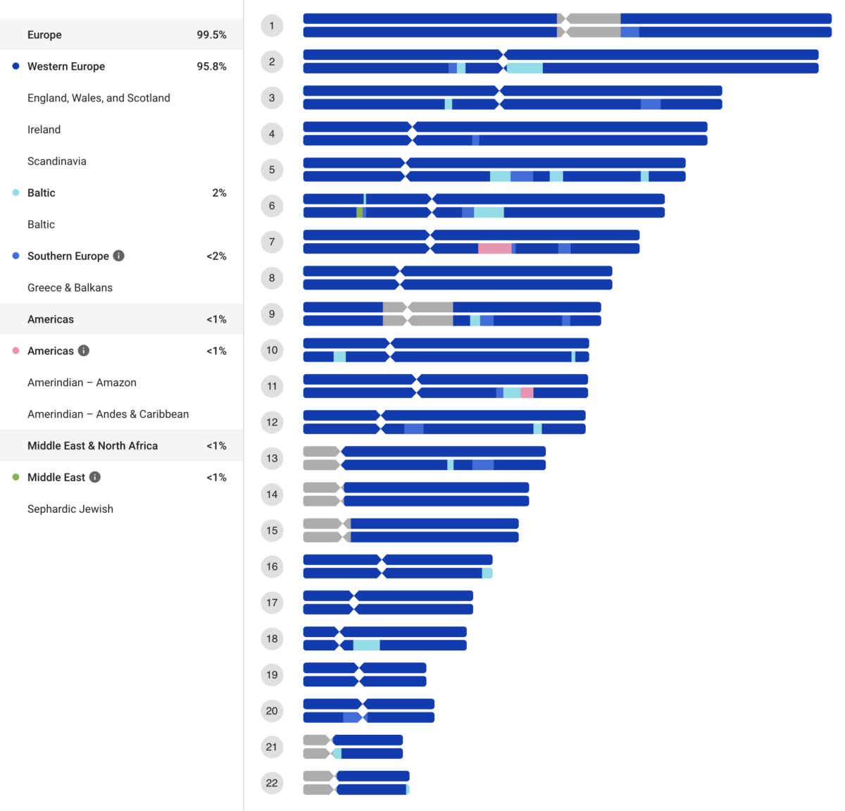 New Feature Family Finder Chromosome Painter FamilyTreeDNA Blog