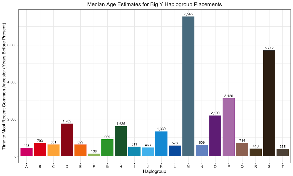 Chart showing median age estimates for big y haplogroup placements
