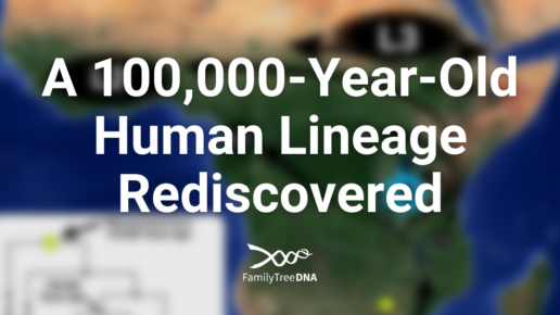 A 100,000-Year-Old Human Lineage Rediscovered Blog