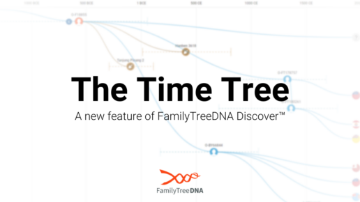 Time Tree: A New Discover Feature