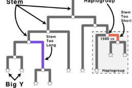 Tree paradoxes occur when some of the tree stems do not add up to the same length.
