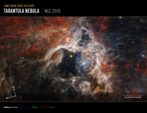 The most recent photo sent back from the Webb Space Telescope is of the Tarantula Nebula.