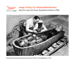 Archaeologist Howard Carter examining King Tut’s mummified remains inside the innermost coffin, 1925