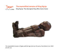 Mummified remains of King Ng:tja with arms and legs bound, following Ngadjon-Jii funerary tradition
