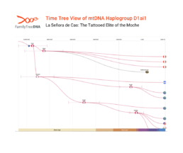 mtDNA haplogroup D1ai1 Time Tree showing La Señora de Cao’s maternal lineage