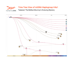 mtDNA haplogroup H4a1 Time Tree showing Takabuti’s maternal lineage in FamilyTreeDNA Discover