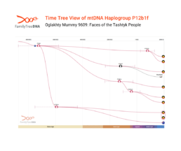 mtDNA haplogroup I4a1 Time Tree showing Oglakhty Mummy 9609’s maternal lineage