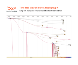 mtDNA haplogroup K Time Tree showing Yuya, Thuya, and Tutankhamun’s maternal lineages