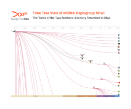 mtDNA haplogroup M1a1 Time Tree showing the maternal lineage of the Two Brothers
