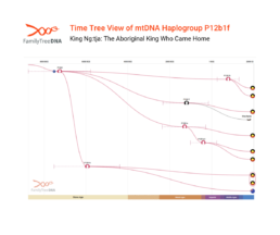 mtDNA haplogroup P12b1f Time Tree showing King Ng:tja’s maternal lineage