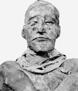 Mummified remains of Pharaoh Ramesses III, Twentieth Dynasty of Egypt