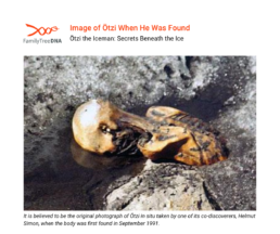 Ötzi the Iceman’s mummified body partially encased in ice at the discovery site in 1991