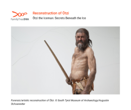 Forensic reconstruction of Ötzi the Iceman holding a bow, South Tyrol Museum of Archaeology