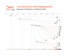 Y-DNA haplogroup E-P2 Time Tree showing Ramesses III’s paternal lineage in FamilyTreeDNA Discover