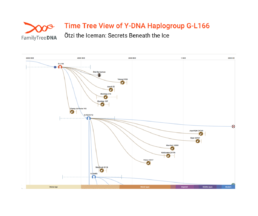Y-DNA haplogroup G-L166 Time Tree showing Ötzi’s paternal lineage in prehistoric Europe
