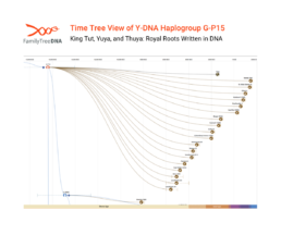 Y-DNA haplogroup G-P15 Time Tree showing Yuya’s paternal lineage in FamilyTreeDNA Discover