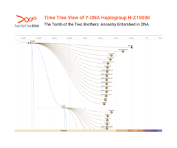 Y-DNA haplogroup H-Z19008 Time Tree tracing Nakht-Ankh’s paternal ancestry