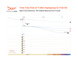 Y-DNA haplogroup Q-Y166185 Time Tree showing Spirit Cave Mummy’s paternal lineage