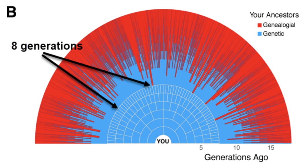 genetic tree and genealogy tree