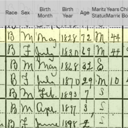 Original handwritten 1900 U.S. Census record for Isaac Spann showing father's birthplace listed as Africa