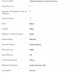 Transcribed 1900 U.S. Census record for Isaac Spann listing father's birthplace as Africa, Clarendon County, South Carolina