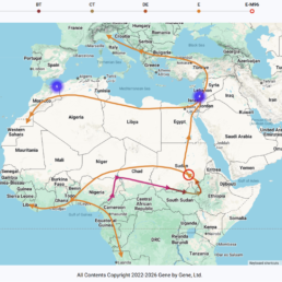 Migration map of Y-DNA haplogroup E-M96 showing routes across Africa, the Middle East, and Europe
