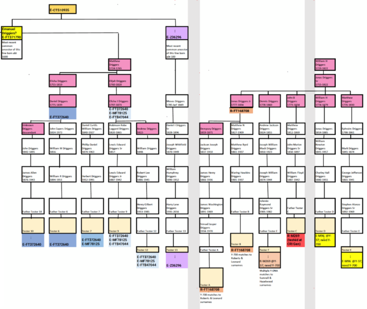Figure 7: Summary of Y-DNA Testing Results for Men with the Surname Driggers