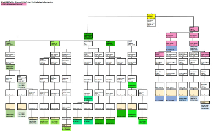 Figure 7: Y-DNA Testing Results for Closely Related Perkins and Driggers Men Driggers Family’s Complex Y-DNA Story