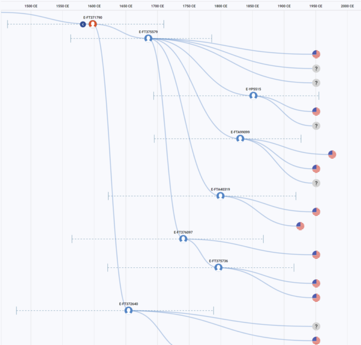 Figure 5: A view of the Discover Time Tree where the two haplogroups split from E-FT371790.
