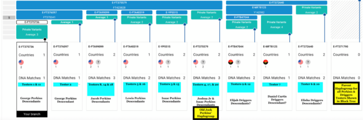 Figure 1: Block Tree Summary of Perkins and Driggers Testers with Closely Related Y-DNA