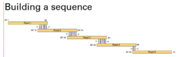 the journey of dna