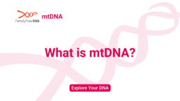 What is Mitochondrial DNA_Explore Your DNA_FamilyTreeDNA