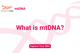 What is Mitochondrial DNA_Explore Your DNA_FamilyTreeDNA