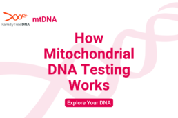How Mitochondrial DNA Testing Works_Explore Your DNA_FamilyTreeDNA