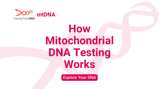 How Mitochondrial DNA Testing Works_Explore Your DNA_FamilyTreeDNA