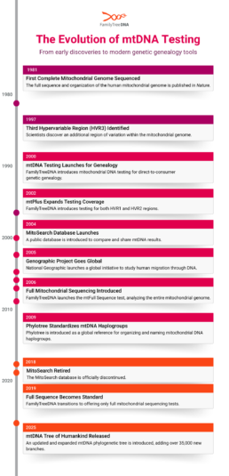 History of mitochondrial DNA testing timeline including mtDNA discoveries, test development, and modern sequencing