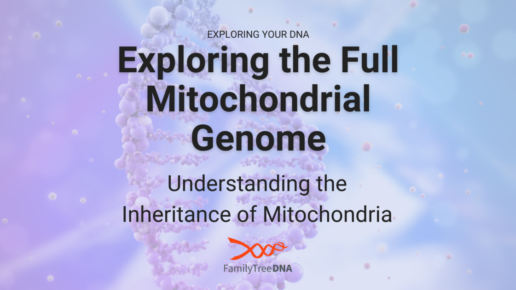Exploring the Full Mitochondrial Genome
