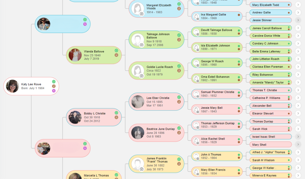 Color-coded pedigree view on MyHeritage