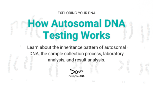 How Autosomal DNA Testing Works-Feature Image