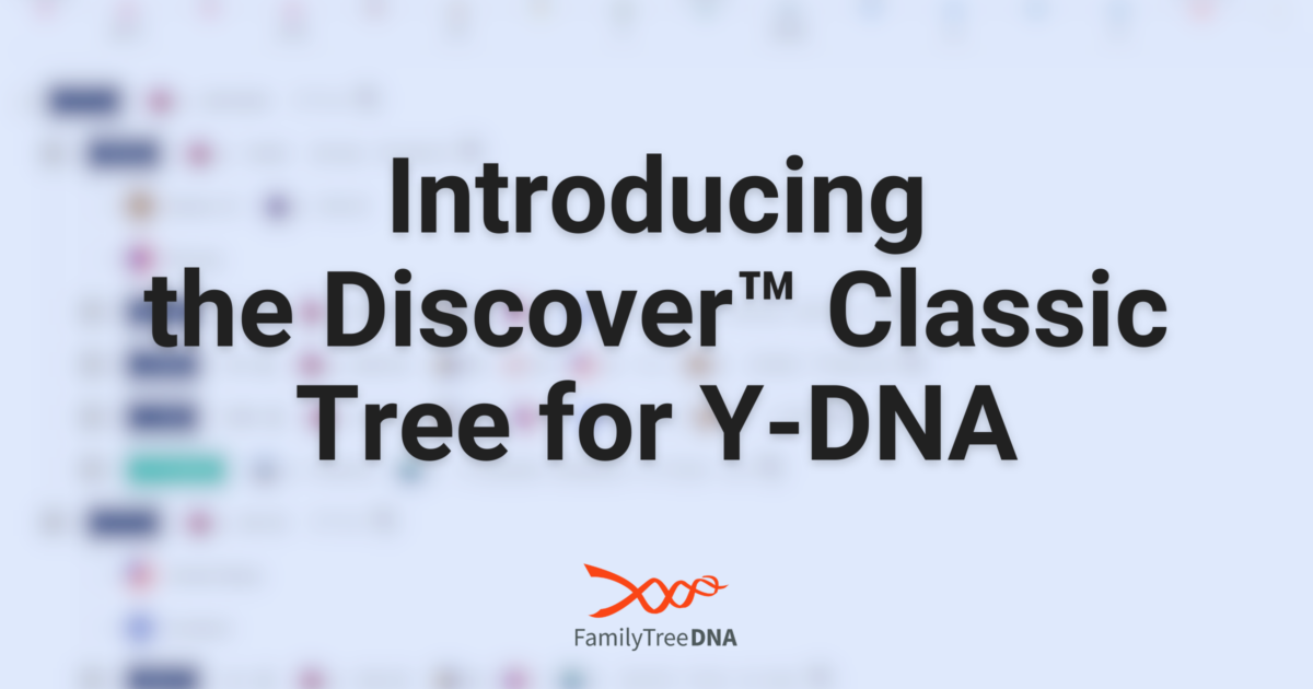 Introducing the Discover Classic Tree for Y-DNA - FamilyTreeDNA Blog
