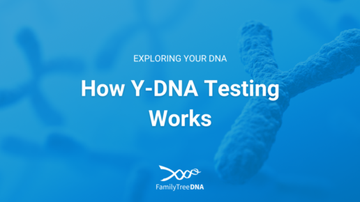 How Y-DNA Testing Works - Featured Image