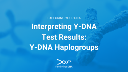 Interpreting Y-DNA Test Results: Y-DNA Haplogroups - Featured Image