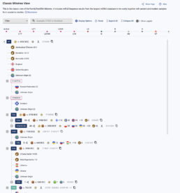 Classic mtDNA tree showing haplogroup branches, mutations, and relationships within the mitochondrial DNA tree