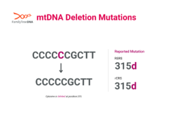 mtDNA deletion mutation example showing a nucleotide removed at position 315 with RSRS and rCRS notation