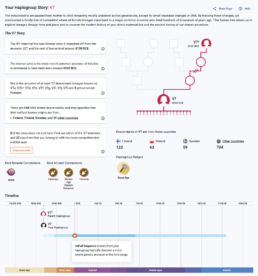 mtDNA Discover haplogroup story report showing lineage timeline, branching tree, and descendant countries