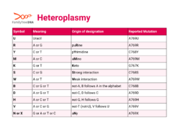 Table of mtDNA heteroplasmy symbols showing nucleotide codes (R, Y, M, K, S, W) and their meanings