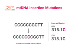 mtDNA insertion mutation example showing an added nucleotide at position 315 with RSRS and rCRS notation