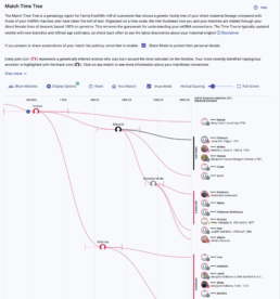 mtDNA Match Time Tree showing where a tester connects to matches on a maternal lineage timeline